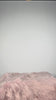 BAUC082 - 13x4 HD Frontal lace - Virgin